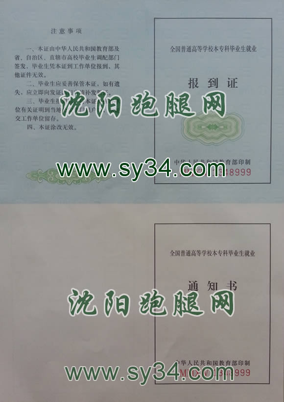 本科报到证
